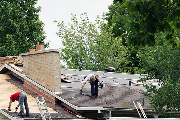 Best Roof Repair Services  in Mcelhattan, PA